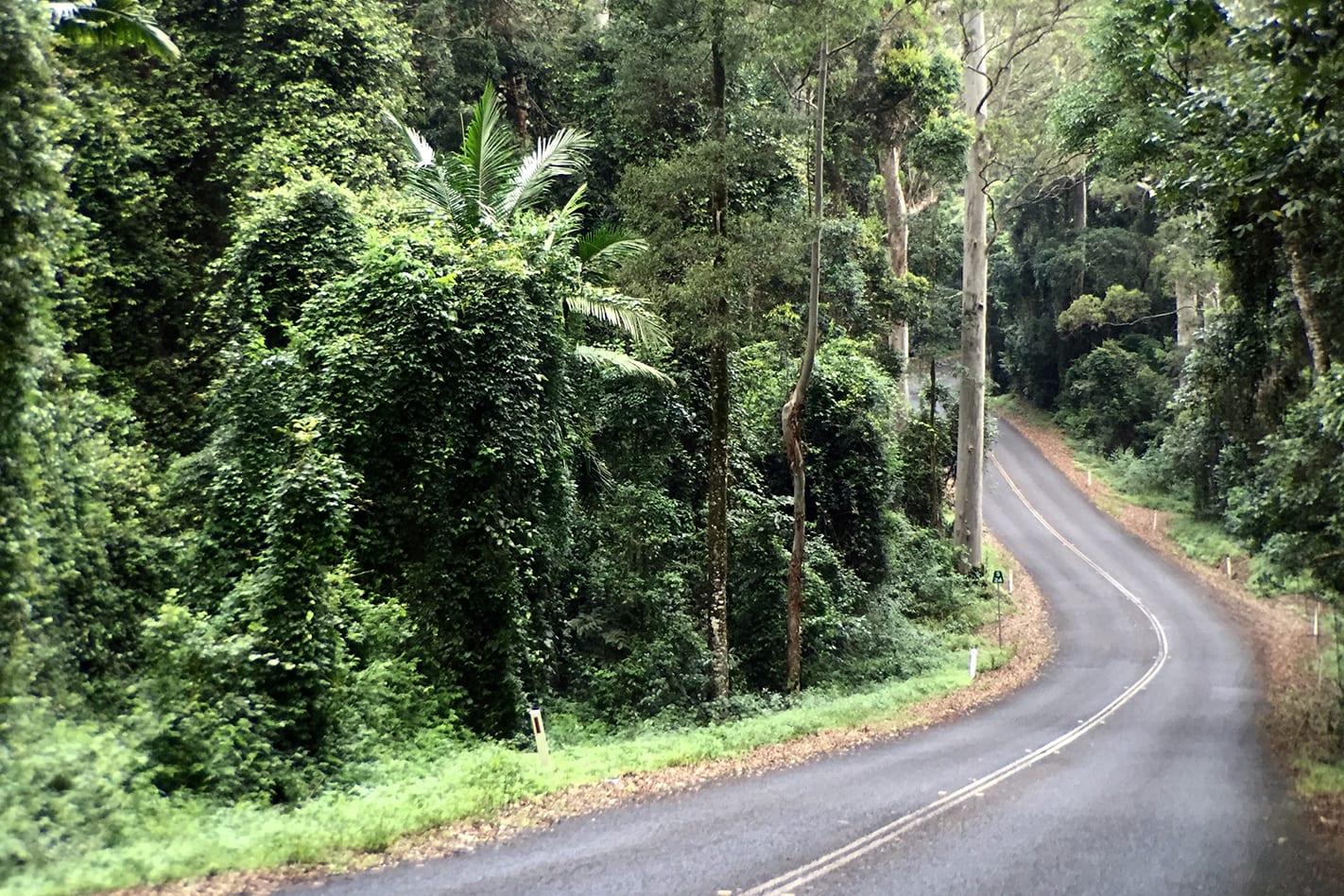 Mt-Glorious-(1).jpg