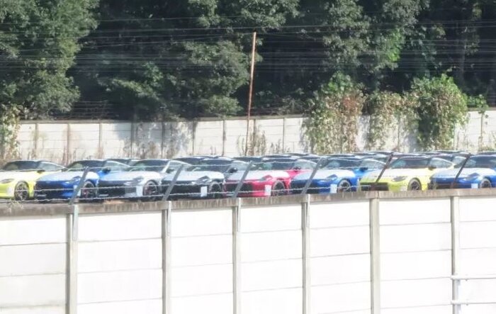 Masses of RHD Zs spotted in Japan